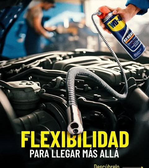 licavir 1